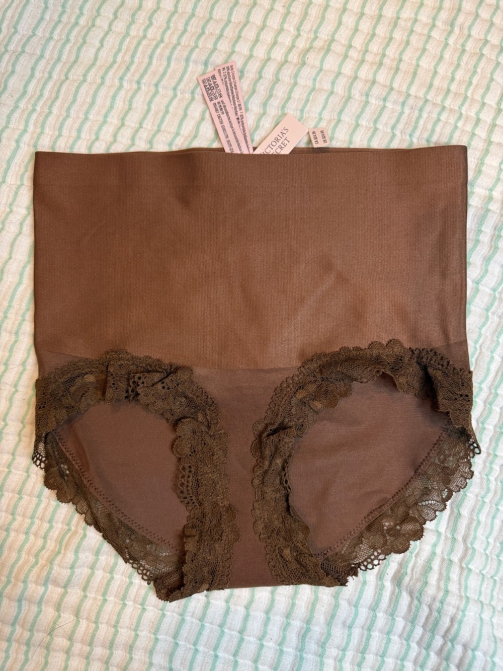 NWT Victorias Secret Brief Slip Shaping Underwear in Chocolate Brown